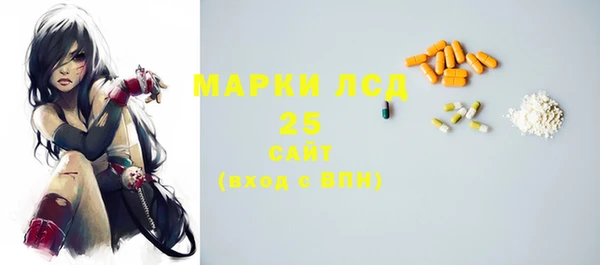 apvp Надым