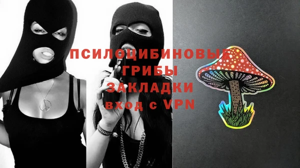 дживик Наволоки